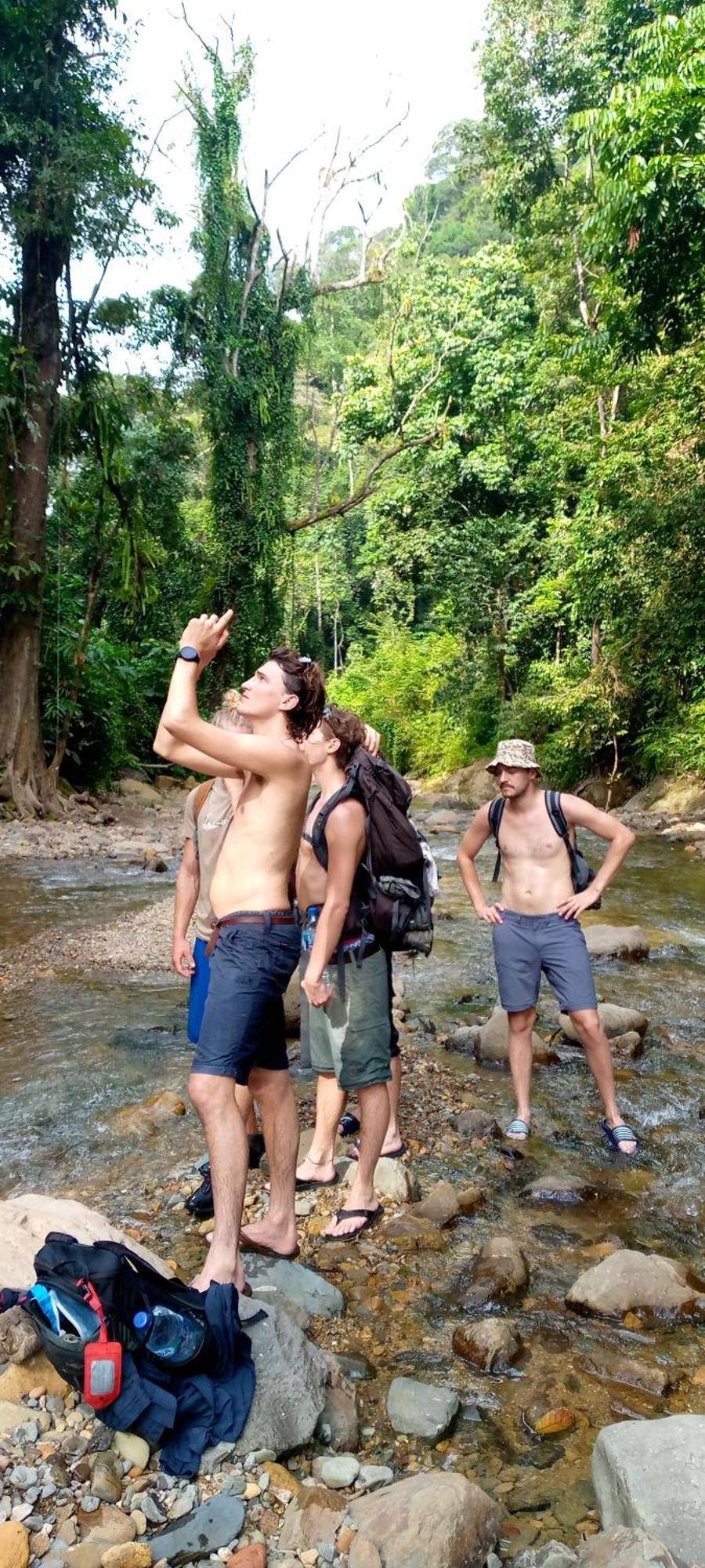 Asim Paris Guesthouse & Jungle Trekking Bukit Lawang Luaran gambar