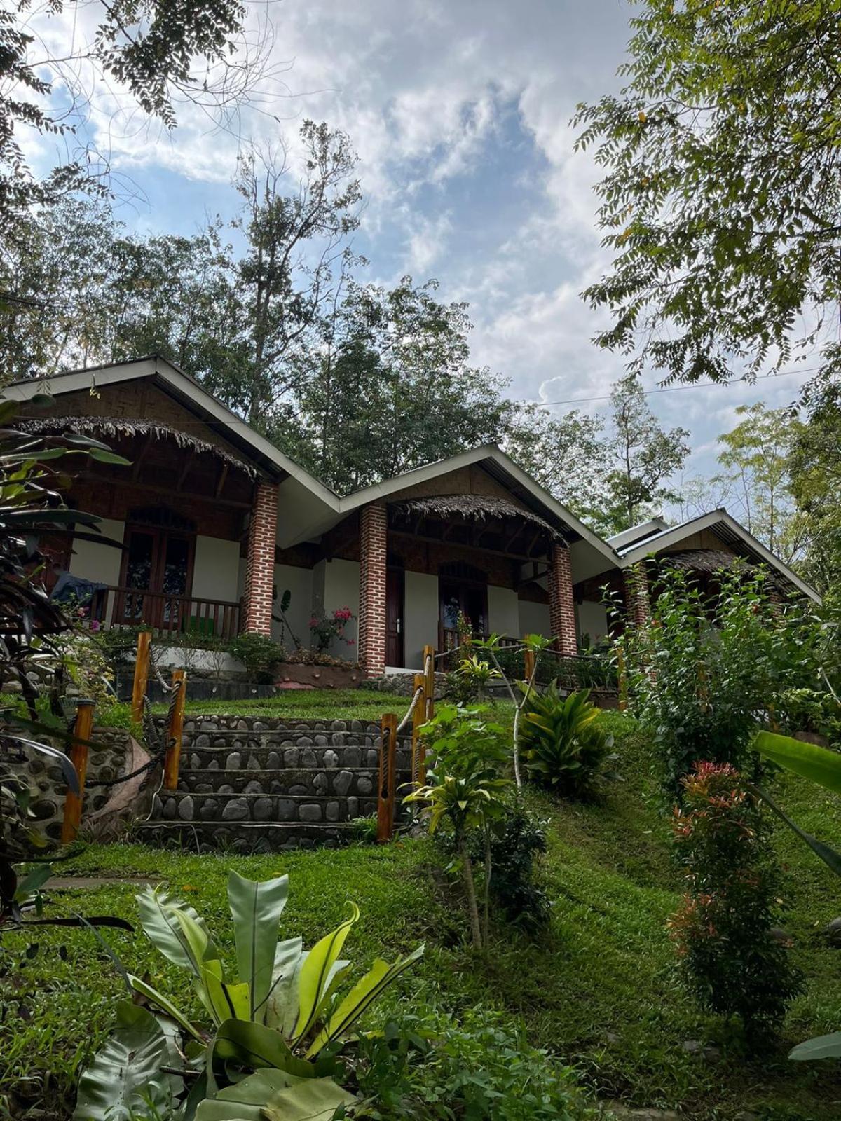 Asim Paris Guesthouse & Jungle Trekking Bukit Lawang Luaran gambar